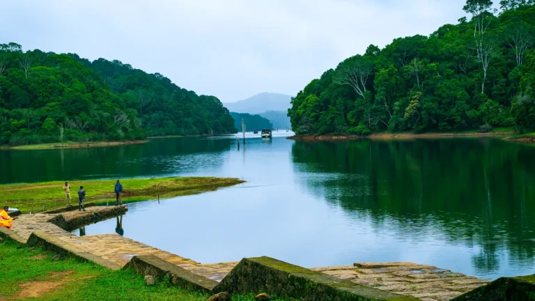 thekkady-1920-20230329172714447577